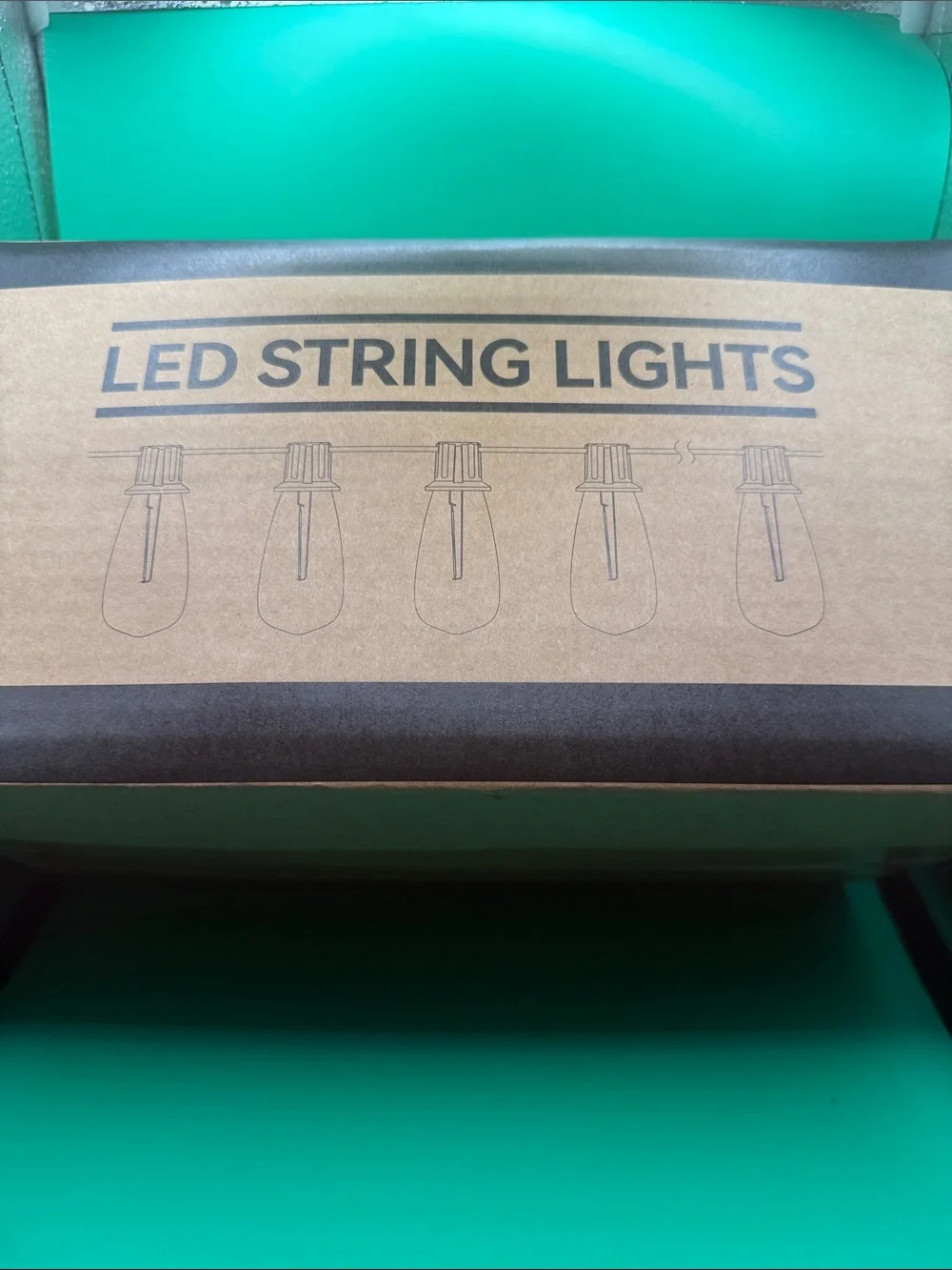 LED Edison Bulb Patio String Lights with Remote - Warm Amber Glow